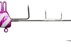 松本釣船２ 釣果