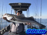 オーシャンマスター 釣果