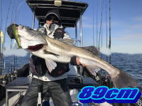 オーシャンマスター 釣果