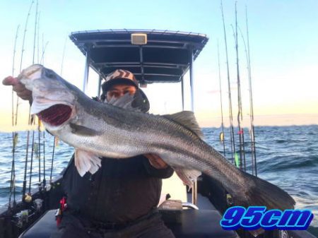 オーシャンマスター 釣果