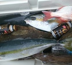 海龍丸(福岡) 釣果