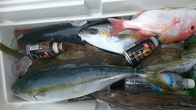 海龍丸(福岡) 釣果