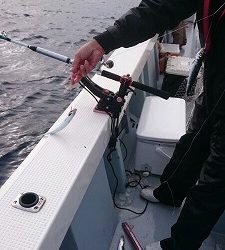 海龍丸(福岡) 釣果