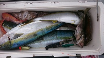 海龍丸(福岡) 釣果