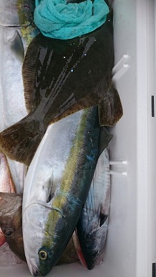 海龍丸(福岡) 釣果