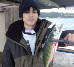 本部釣りイカダ 釣果