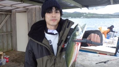 本部釣りイカダ 釣果