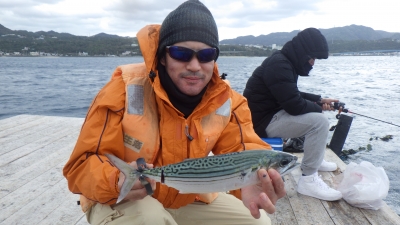 本部釣りイカダ 釣果