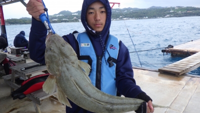 本部釣りイカダ 釣果