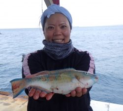 本部釣りイカダ 釣果