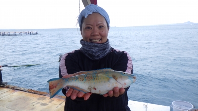 本部釣りイカダ 釣果