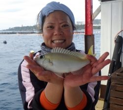 本部釣りイカダ 釣果