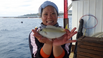 本部釣りイカダ 釣果
