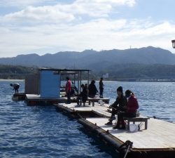 本部釣りイカダ 釣果