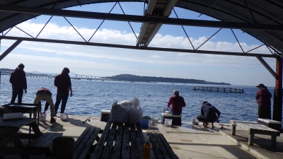 本部釣りイカダ 釣果