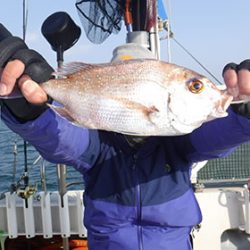 松本釣船２ 釣果