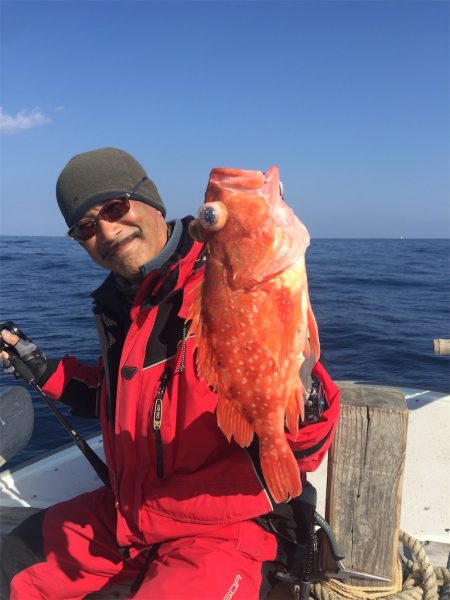 マタウマリンサービス 釣果