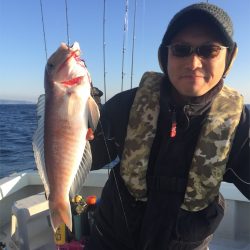 マタウマリンサービス 釣果