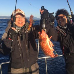 マタウマリンサービス 釣果