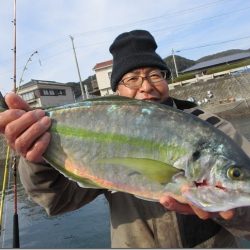 海正丸 釣果
