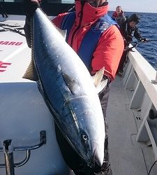 海龍丸（福岡） 釣果