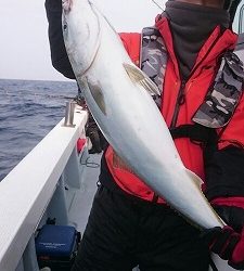 海龍丸（福岡） 釣果