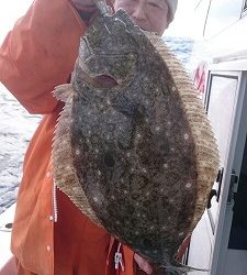 海龍丸（福岡） 釣果