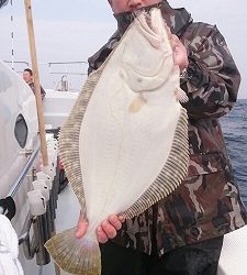海龍丸（福岡） 釣果