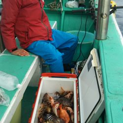 モンロー号 釣果