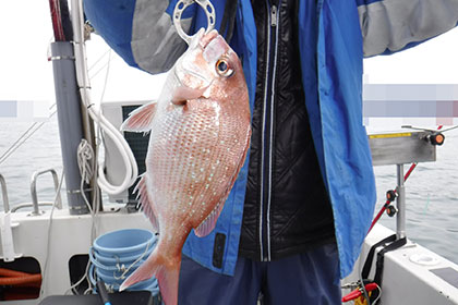 松本釣船２ 釣果