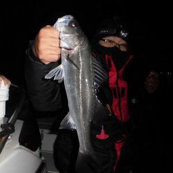 ルアー船マヒマヒ 釣果