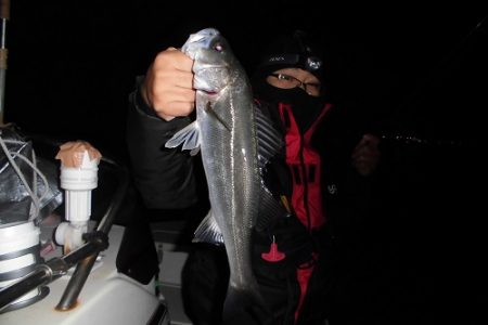 ルアー船マヒマヒ 釣果