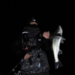 ルアー船マヒマヒ 釣果