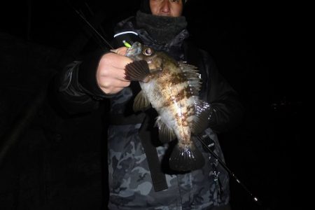 ルアー船マヒマヒ 釣果