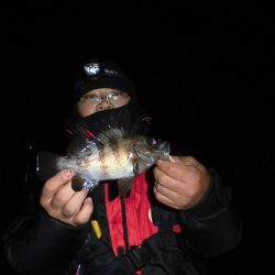 ルアー船マヒマヒ 釣果