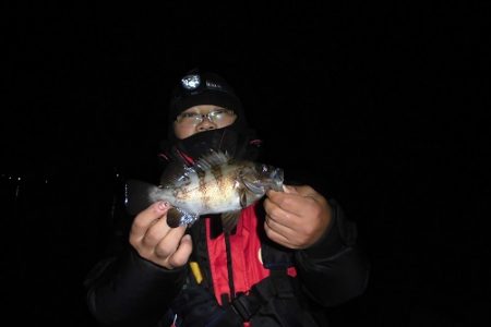 ルアー船マヒマヒ 釣果