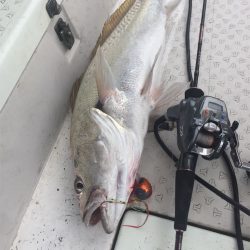 マタウマリンサービス 釣果