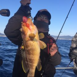 マタウマリンサービス 釣果