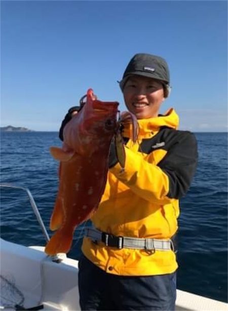 マタウマリンサービス 釣果