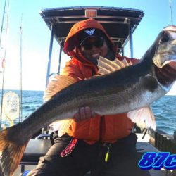 オーシャンマスター 釣果