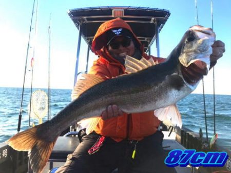 オーシャンマスター 釣果