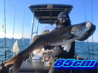 オーシャンマスター 釣果