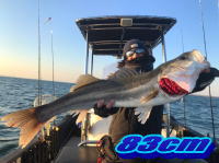 オーシャンマスター 釣果