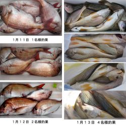 来温丸(らいおんまる) 釣果