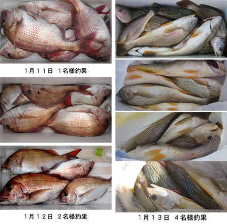 来温丸（らいおんまる） 釣果