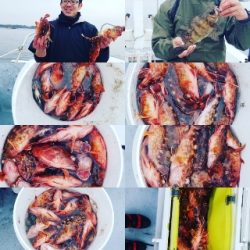 内浜丸 釣果