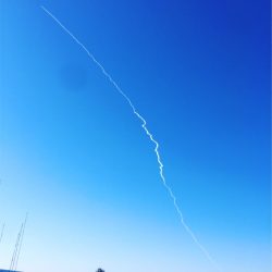 マタウマリンサービス 釣果