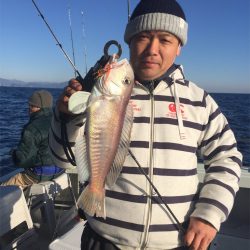 マタウマリンサービス 釣果