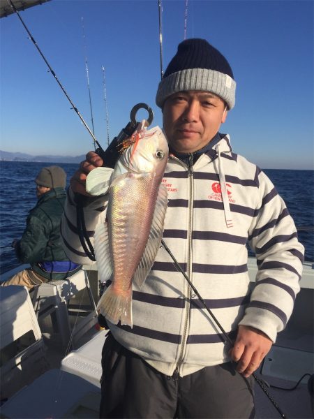 マタウマリンサービス 釣果