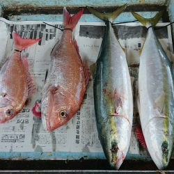 明神釣船 釣果